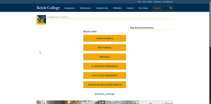 Malformed front-end page missing widget outputs.