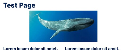 Screenshot 2026-02-27 at 8.58.53 AM