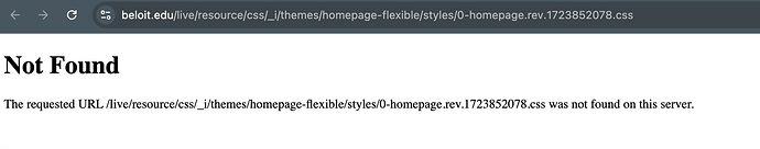 A CSS file 404 error.